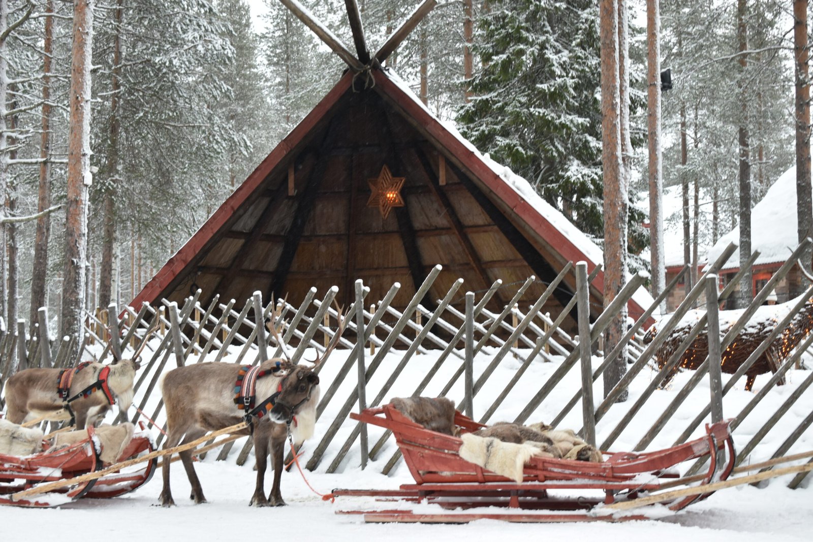 Glide through winter wonderland on a magical reindeer ride at Santa Claus Village. (Photo by Vivek Muralidharan)