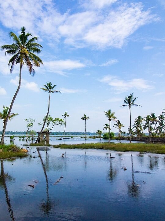 river, bank, coconut trees, palm trees, trees, reflection, water, backwater, nature, sky, clouds, scenery, scenic, kerala, india, kerala, kerala, kerala, kerala, kerala